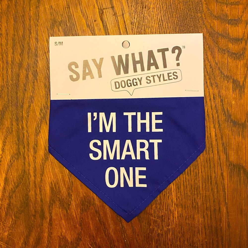 New Blue Dog bandana.  I’m the Smart One
